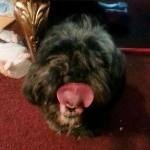 Meet your Posher, Hyapenny